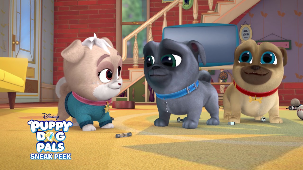 Arf-Choo! 🐾| Puppy Dog Pals | Disney Junior - Cute Puppies Videos